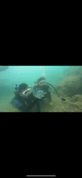 武藤潜水に投稿された画像（2024/3/26）