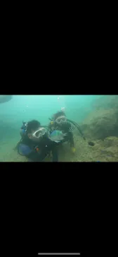武藤潜水に投稿された画像（2024/3/26）