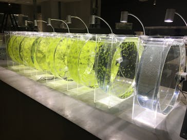 AOAO SAPPOROに投稿された画像（2024/3/26）