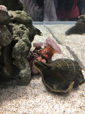 AOAO SAPPOROに投稿された画像（2024/3/26）