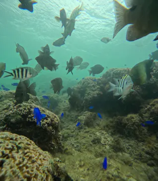 武藤潜水に投稿された画像（2024/3/26）