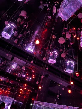 マクセル アクアパーク品川に投稿された画像（2024/3/26）