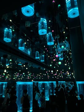 マクセル アクアパーク品川に投稿された画像（2024/3/26）