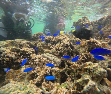 武藤潜水に投稿された画像（2024/3/26）