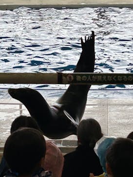 アクアワールド茨城県大洗水族館に投稿された画像（2024/3/26）