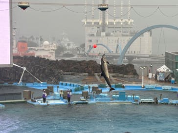 名古屋港水族館に投稿された画像（2024/3/26）