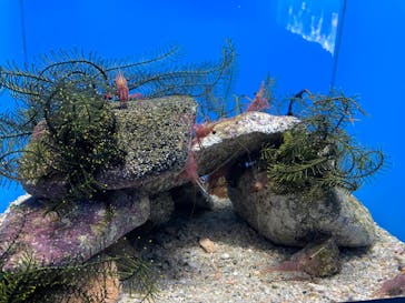 マリンワールド海の中道に投稿された画像（2024/3/26）