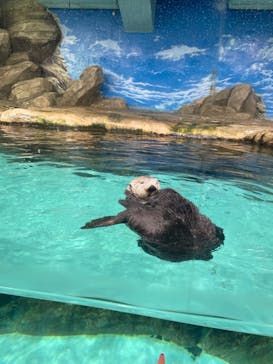 マリンワールド海の中道に投稿された画像（2024/3/26）