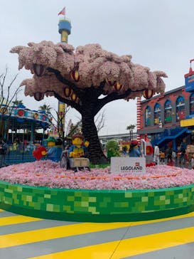 レゴランドⓇ・ジャパン・リゾートに投稿された画像（2024/3/26）