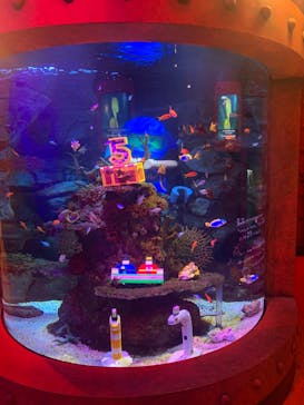 レゴランドⓇ・ジャパン・リゾートに投稿された画像（2024/3/26）