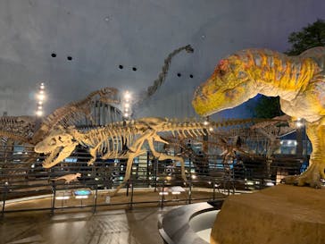 福井県立恐竜博物館に投稿された画像（2024/3/26）