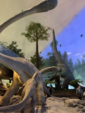 福井県立恐竜博物館に投稿された画像（2024/3/26）