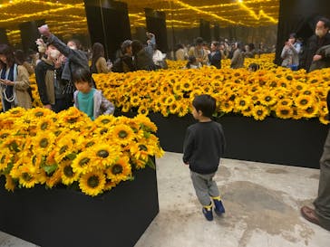 ゴッホ・アライブに投稿された画像（2024/3/26）