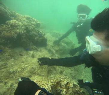 武藤潜水に投稿された画像（2024/3/26）