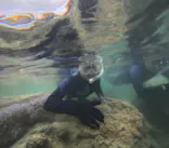 武藤潜水に投稿された画像（2024/3/26）