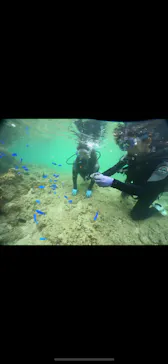 武藤潜水に投稿された画像（2024/3/26）