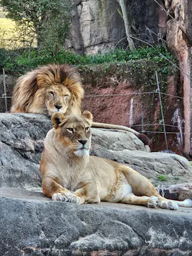天王寺動物園に投稿された画像（2024/3/26）