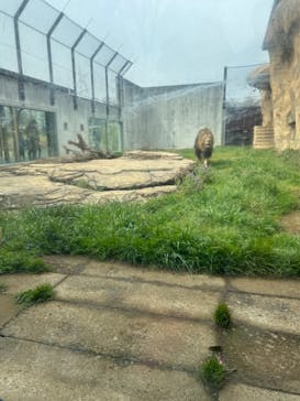 千葉市動物公園に投稿された画像（2024/3/26）