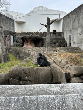 千葉市動物公園に投稿された画像（2024/3/26）