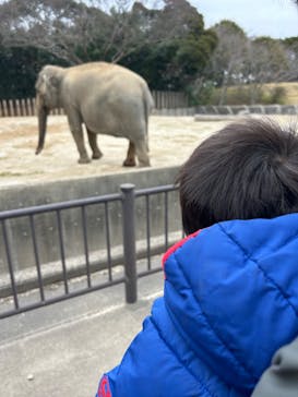 千葉市動物公園に投稿された画像（2024/3/26）