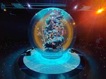 AQUARIUM × ART　atoaに投稿された画像（2024/3/26）