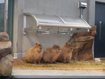 AQUARIUM × ART　atoaに投稿された画像（2024/3/26）