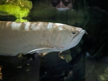 マクセル アクアパーク品川に投稿された画像（2024/3/26）