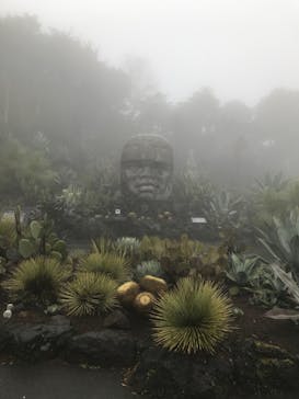 伊豆シャボテン動物公園に投稿された画像（2024/3/26）