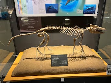 福井県立恐竜博物館に投稿された画像（2024/3/26）