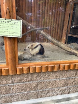 神戸どうぶつ王国に投稿された画像（2024/3/26）