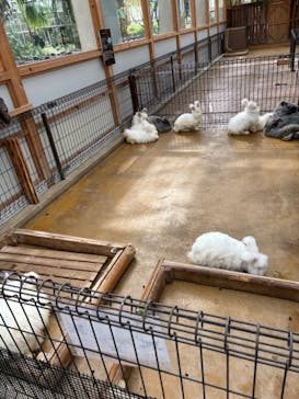 神戸どうぶつ王国に投稿された画像（2024/3/26）