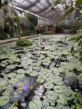 神戸どうぶつ王国に投稿された画像（2024/3/26）