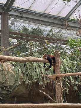 神戸どうぶつ王国に投稿された画像（2024/3/26）