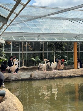 神戸どうぶつ王国に投稿された画像（2024/3/26）