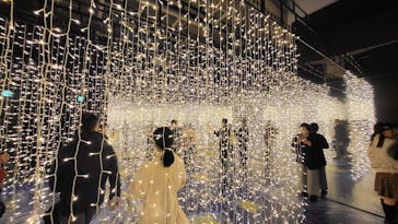 ゴッホ・アライブに投稿された画像（2024/3/26）