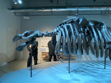 AOAO SAPPOROに投稿された画像（2024/3/26）