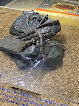 AOAO SAPPOROに投稿された画像（2024/3/26）