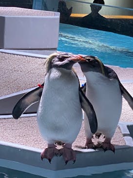 AOAO SAPPOROに投稿された画像（2024/3/26）