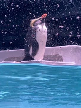 AOAO SAPPOROに投稿された画像（2024/3/26）