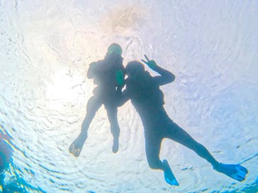 宮古島 ADVENTURE PiPi（ミヤコジマ アドベンチャー ピピ）に投稿された画像（2024/3/26）