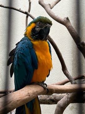 ネオパークオキナワに投稿された画像（2024/3/26）