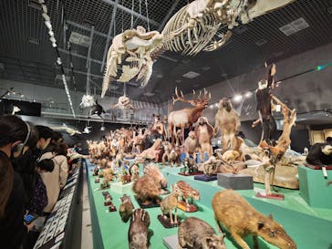 特別展「大哺乳類展３－わけてつなげて大行進」に投稿された画像（2024/3/26）