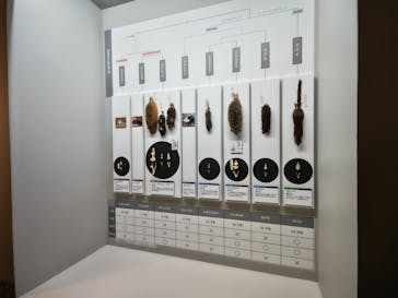 特別展「大哺乳類展３－わけてつなげて大行進」に投稿された画像（2024/3/26）