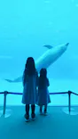 名古屋港水族館に投稿された画像（2024/3/26）
