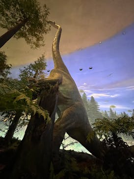 福井県立恐竜博物館に投稿された画像（2024/3/26）