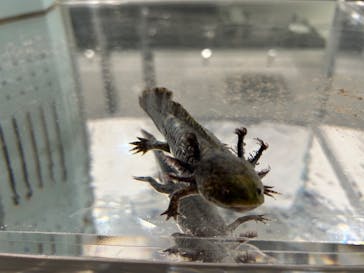 AOAO SAPPOROに投稿された画像（2024/3/26）