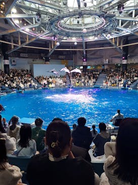 マクセル アクアパーク品川に投稿された画像（2024/3/26）