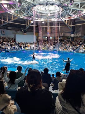 マクセル アクアパーク品川に投稿された画像（2024/3/26）