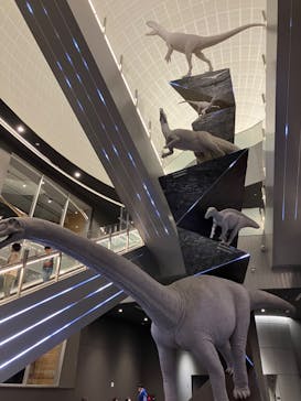 福井県立恐竜博物館に投稿された画像（2024/3/26）