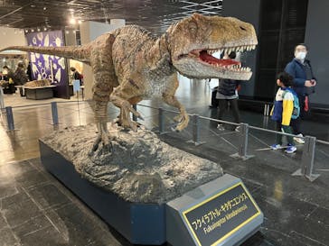 福井県立恐竜博物館に投稿された画像（2024/3/26）